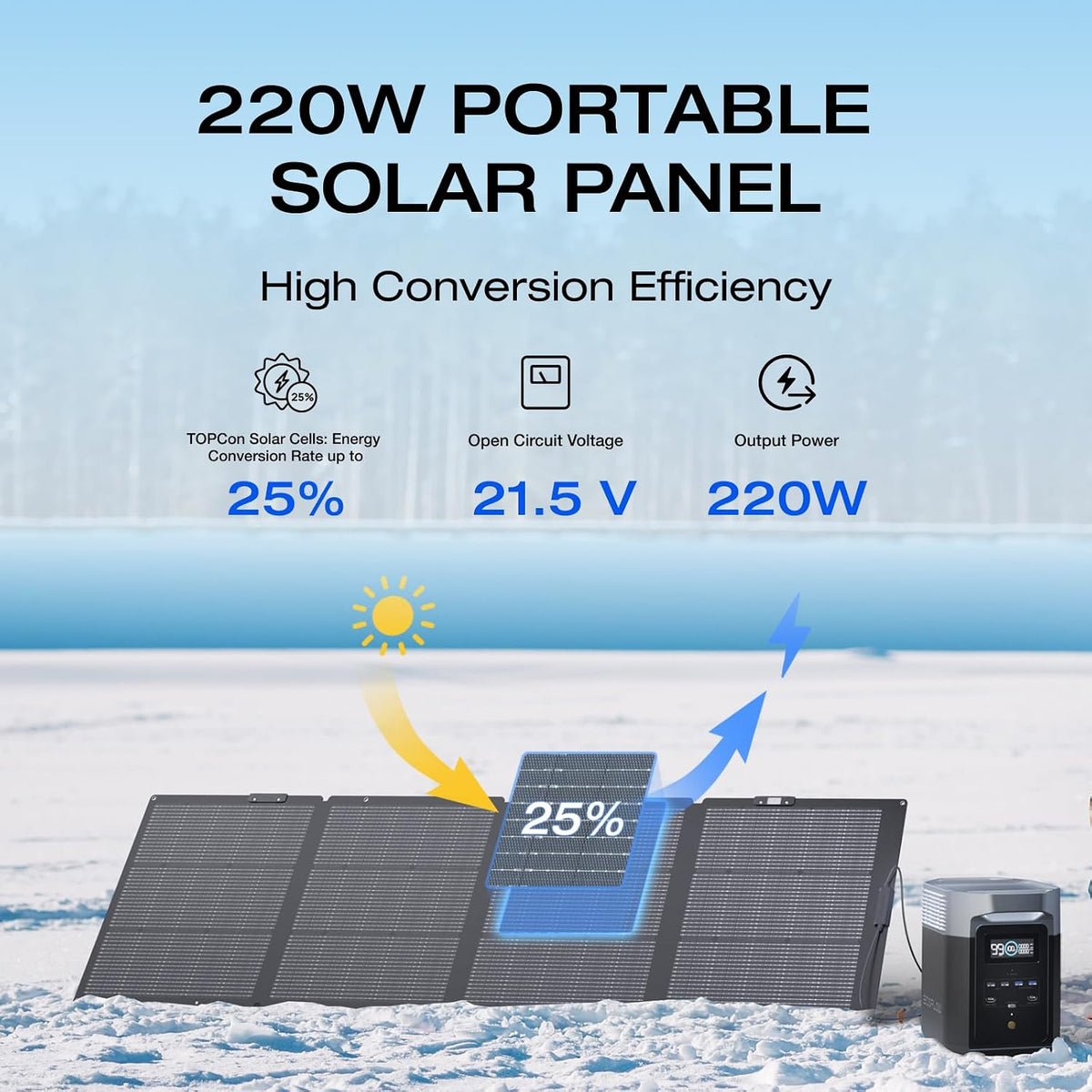 220W Portable Foldable Solar Panel
